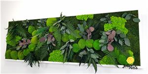 Tablou licheni, muschi si plante naturale stabilizate, Model Island, Jolie Arts - imagine 4