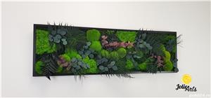 Tablou licheni, muschi si plante naturale stabilizate, Model Island, Jolie Arts - imagine 5