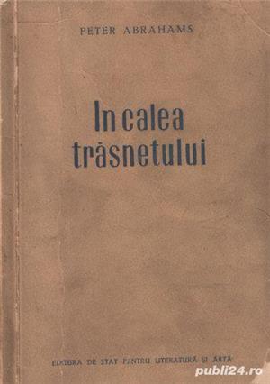În calea trăznetului de Peter Abrahams