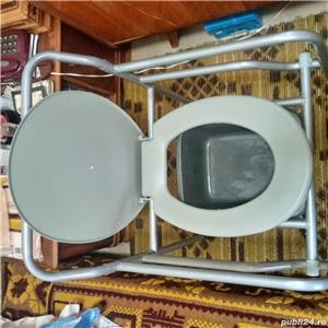 scaun wc batrani - imagine 3