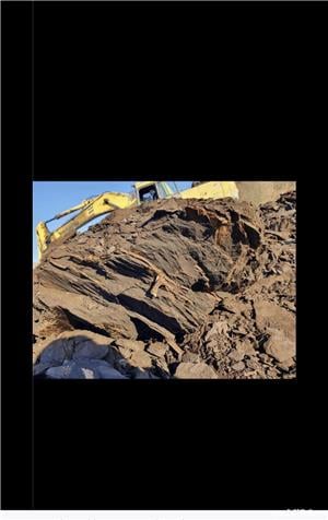 Vand carbune pentru foc 