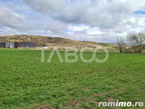 Teren 2172 mp in zona Industriala de vanzare in Sebes - imagine 3