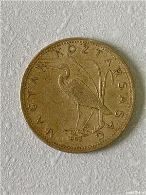 Moneda 5 FORINT - 1993 - Ungaria - KM 694 (225)