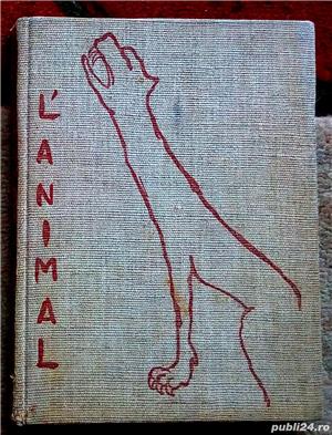 L' animal, Dan Er. Grigoresco, 1947 