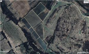 26,40 ha livada cu plantatie BIO de mure si zmeura   - imagine 2