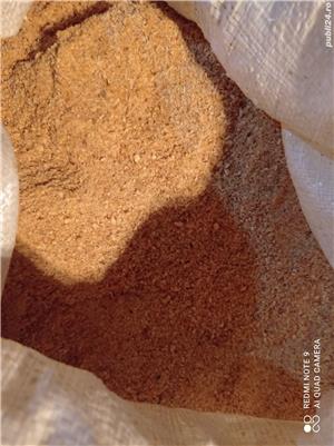 Ttx Special Peste - imagine 4