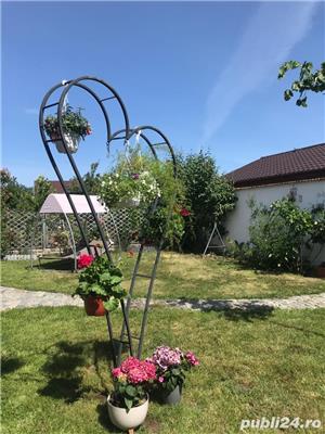 Pergola  flori inima  - imagine 2