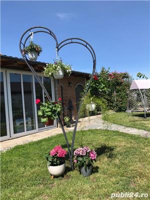 Pergola  flori inima  - imagine 4