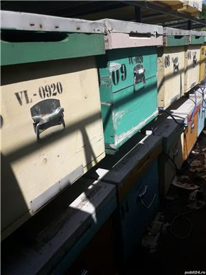 Miere de floarea soarelui  - imagine 7