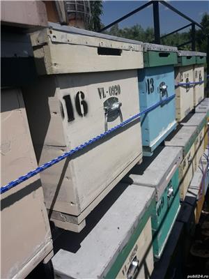 Miere de floarea soarelui  - imagine 4