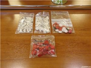 Pasla Butoane pt. Acordeoane Cromatice, Diatonice, Armonici C B