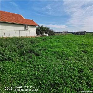 Teren Intravilan (Gradina), 808 mp Vladimirescu - imagine 4