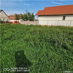 Teren Intravilan (Gradina), 808 mp Vladimirescu - imagine 6