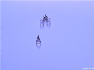 Set deosebit, montat argint