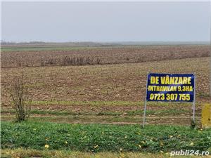 Vnd teren intravilan la soseaua ORADEA-ARAD -9,3 HA, la 12km de Oradea, front 175ml - imagine 6