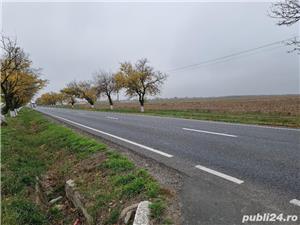 Vnd teren intravilan la soseaua ORADEA-ARAD -9,3 HA, la 12km de Oradea, front 175ml - imagine 13