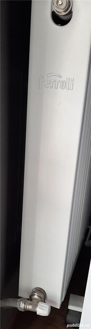 Calorifere Ferroli