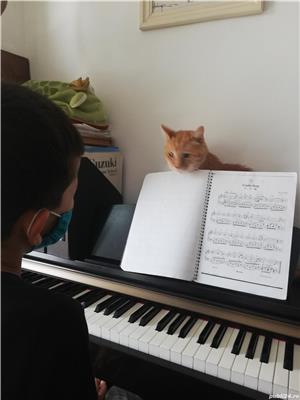 Piano teacher special method. Personalized lessons. Beginners and advanced. 