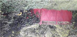 Teren vis-a-vis de motel Bucium - imagine 5