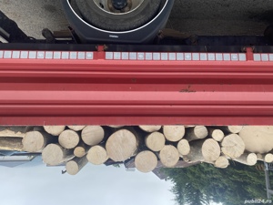 Lemn de foc fag răritură! - imagine 3