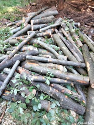 Lemn de foc fag răritură!