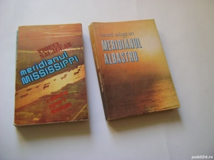 Cărti de Viorel Sălăgean