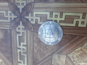 Insigna argint de colectie