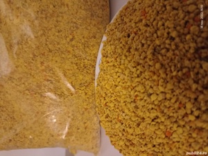 Polen uscat , poliflor și polen crud poliflor  - imagine 4