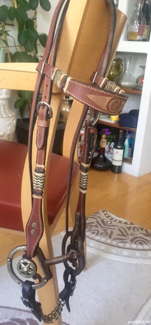 Sa Sport si dresaj  - imagine 3