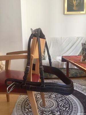 Sa Sport si dresaj  - imagine 5