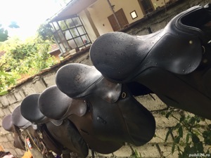 Sa Sport si dresaj  - imagine 6