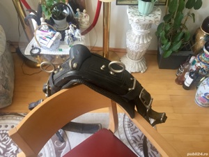 Sa Sport si dresaj  - imagine 4