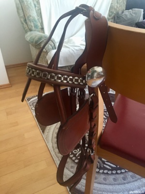 Sa Sport si dresaj  - imagine 7