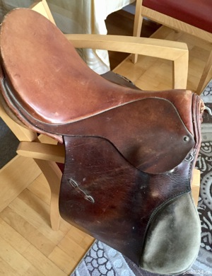 Sa Sport si dresaj  - imagine 10