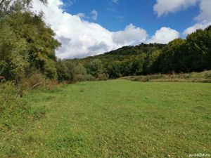 Teren intravilan Francenii Boiului jud Maramures - imagine 2