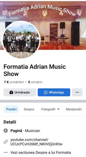 Formatia Adrian Music Show