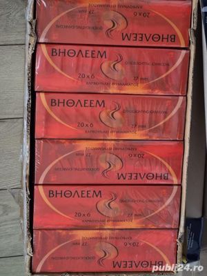 Carbune pentru Tamaie, 27 mm - imagine 5