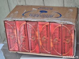 Carbune pentru Tamaie, 27 mm - imagine 7