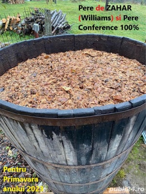 Palincă  de prune fără zahăr - imagine 5