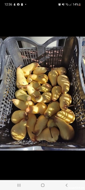 Palinca de Inalta Calitate 60 + - imagine 2