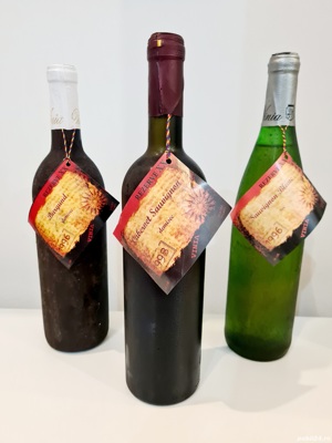 Vin de colecție ( alb , roșu ) - vin vechi ( Sauvignon , Cabernet , Burgund ) - imagine 2
