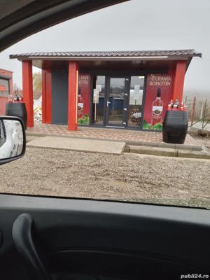 Vând vin Busuioaca de Bohotin - imagine 5