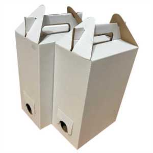 Cutii pizza si prajituri-producator - imagine 3