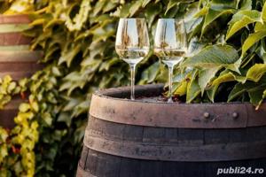 Vin din Vita Nobila - Cramposie