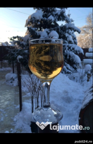 Vin Vita Nobila - Feteasca Regala