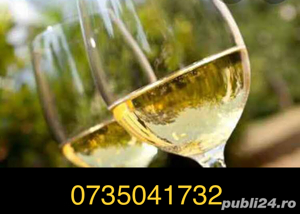 Vin natural - imagine 4