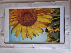 Rame expoziție fotografie