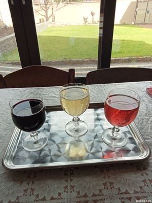 vin nou din struguri otonel cu feteasca  si  vin rosu