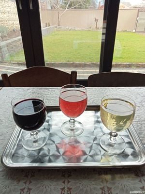 vin  otonel cu feteasca. vin  rosu de  struguri moldova si  roze
