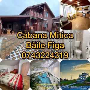 Cabana  Mitică  Baile  Figa 